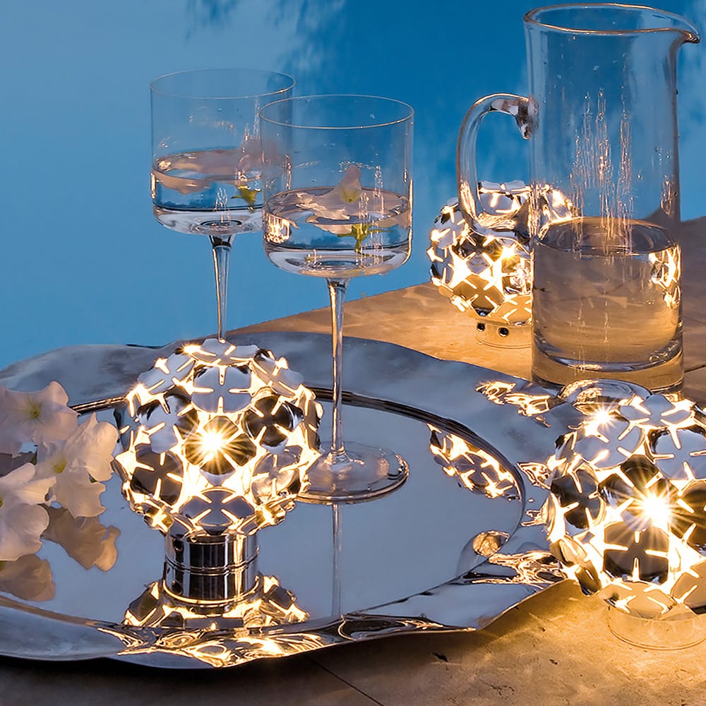 Small Silver Plated Flower Light