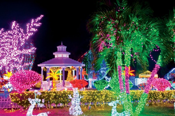 3 of the best Christmas Destinations Grand Cayman Christmas Lights