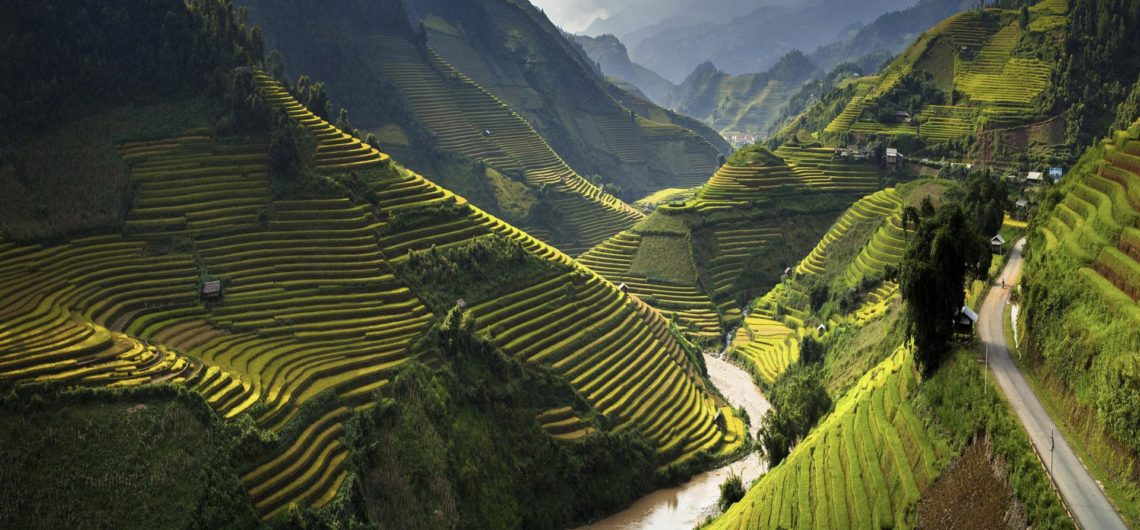 Vietnam, terraced paddy fields