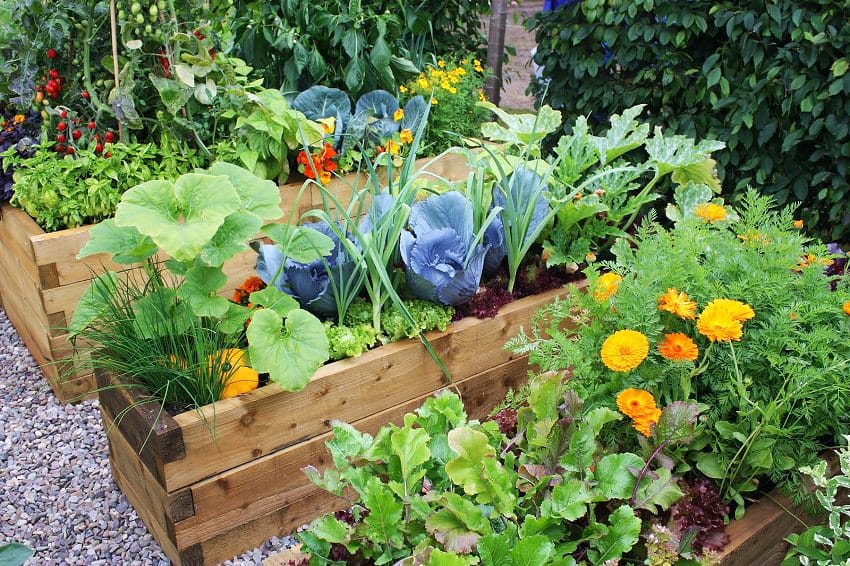 vegetable garden wooden planters garden trends 2018